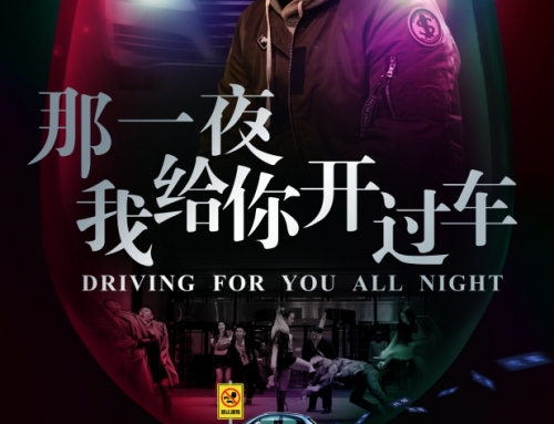 《那一夜我给你开过车》